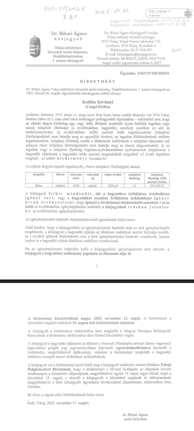 képernyőfotó 2025 11 18 12.49.44