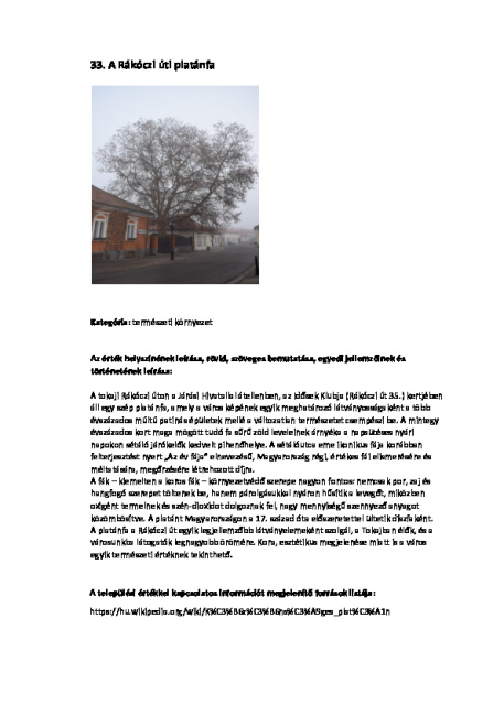 33. Rákóczi úti platánfa