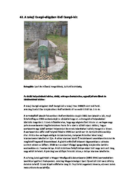 42. A tokaji Csurgó-völgyben lévő Csurgó-kút